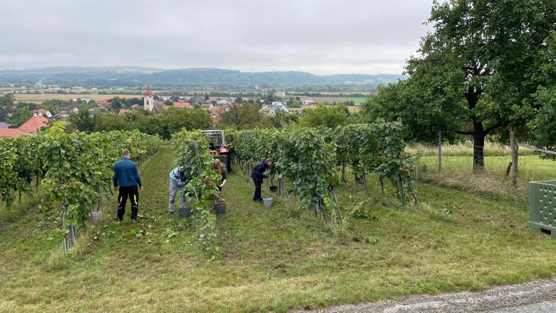 Readers, © Bauer Biohof Readers, © Bauer Biohof