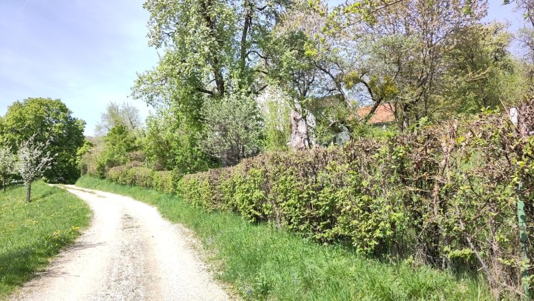 Natural paradise on the Sonntagberg, © Stiftner Natural paradise on the Sonntagberg, © Stiftner