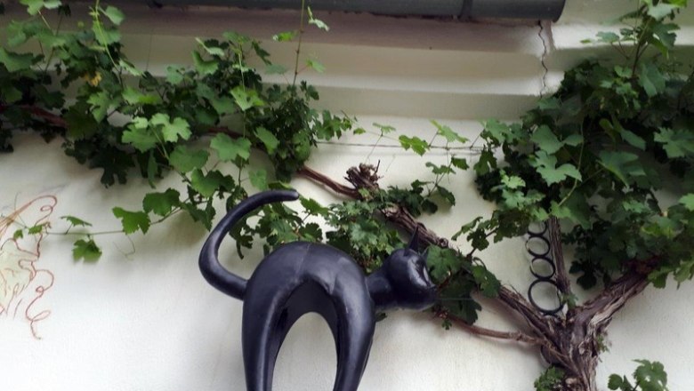 Wine cellar lane Dürnleis, © Gritsch Wine cellar lane Dürnleis, © Gritsch