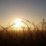 Sonnenuntergang, © Familie Fleischmann Sonnenuntergang, © Familie Fleischmann