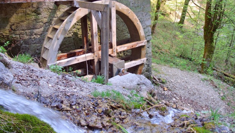 Yew mill wheel in the nature park, © Marika Roth Yew mill wheel in the nature park, © Marika Roth