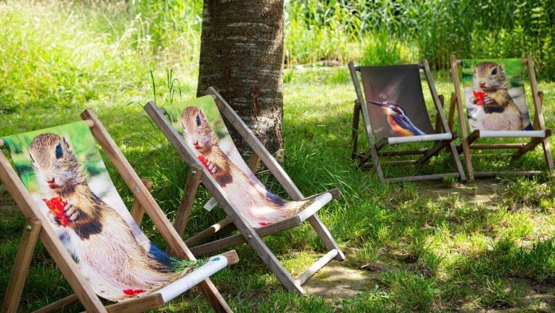 RC_Schloss_Orth_(c)Donau_Niederoesterreich_Barbara_Elser_3, © Barbara Elser RC_Schloss_Orth_(c)Donau_Niederoesterreich_Barbara_Elser_3, © Barbara Elser