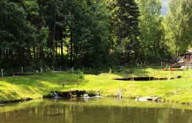 Kornfeld fishing and angling ponds, © Herbert Kornfeld Kornfeld fishing and angling ponds, © Herbert Kornfeld