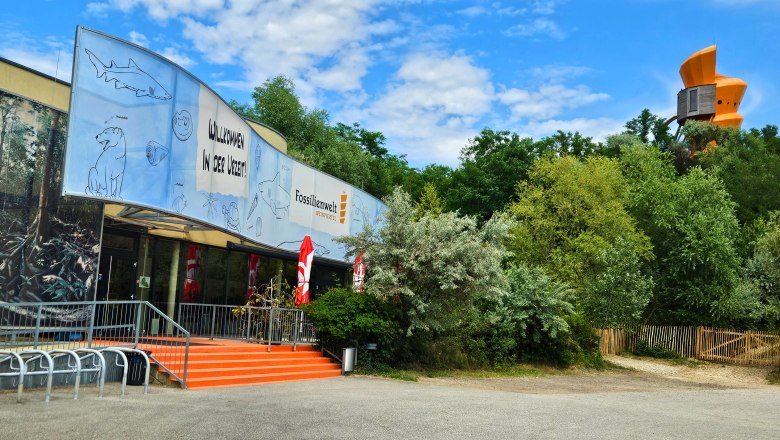 Header_20250623_152250_Banner1(c)Fossilienwelt, © Fossilienwelt Header_20250623_152250_Banner1(c)Fossilienwelt, © Fossilienwelt