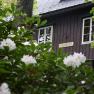 Rhododendron Speckbacher hut, © Karin Stranz Rhododendron Speckbacher hut, © Karin Stranz