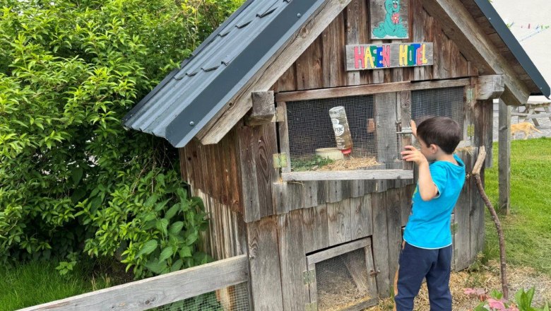 Our bunny hotel, © Höbarten Our bunny hotel, © Höbarten