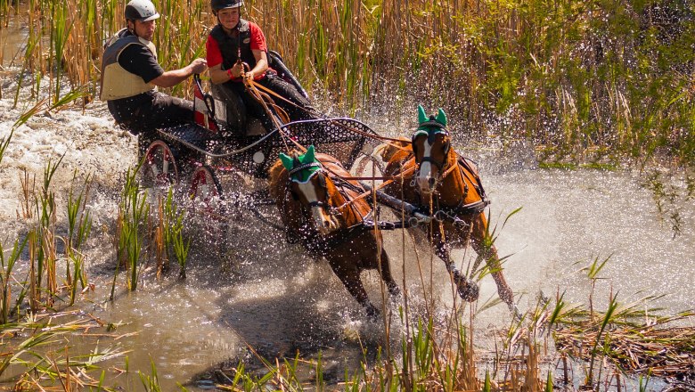 Karlstetten Driving and Riding Club, © Gerty Schabas Karlstetten Driving and Riding Club, © Gerty Schabas