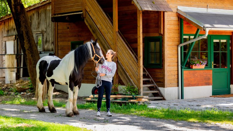 Horse world Reichenau, © Wiener Alpen / Christian Kremsl Horse world Reichenau, © Wiener Alpen / Christian Kremsl
