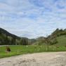 Kühe am Sunnseit´n Bio Bauernhof, © Mostviertel Tourismus Kühe am Sunnseit´n Bio Bauernhof, © Mostviertel Tourismus
