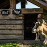 Ziegenstall, © Wiener Alpen - Martin Fülöp Ziegenstall, © Wiener Alpen - Martin Fülöp