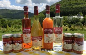 Apricot assortment at Kausl, © Marillenhof Kausl Apricot assortment at Kausl, © Marillenhof Kausl