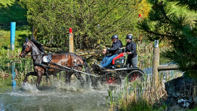 Karlstetten Driving and Riding Club, © Gerty Schabas Karlstetten Driving and Riding Club, © Gerty Schabas