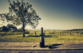 Listening station The three vineyards, VIA.CARNUNTUM., © Donau Niederösterreich, Andreas Hofer Listening station The three vineyards, VIA.CARNUNTUM., © Donau Niederösterreich, Andreas Hofer