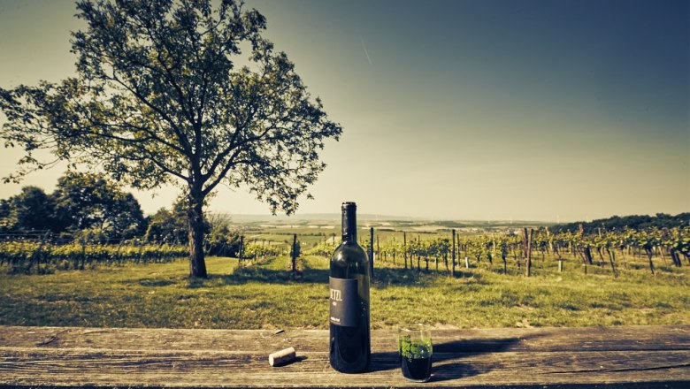 Listening station The three vineyards, VIA.CARNUNTUM., © Donau Niederösterreich, Andreas Hofer Listening station The three vineyards, VIA.CARNUNTUM., © Donau Niederösterreich, Andreas Hofer