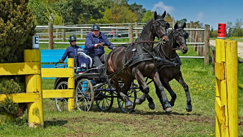 Karlstetten Driving and Riding Club, © Gerty Schabas Karlstetten Driving and Riding Club, © Gerty Schabas