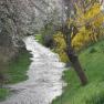 Am Gschinzbach, © Karin Schindl Am Gschinzbach, © Karin Schindl