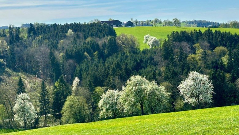 Bild17.RelaxResort.Kothmuehle, © RelaxResort Kothmühle Bild17.RelaxResort.Kothmuehle, © RelaxResort Kothmühle