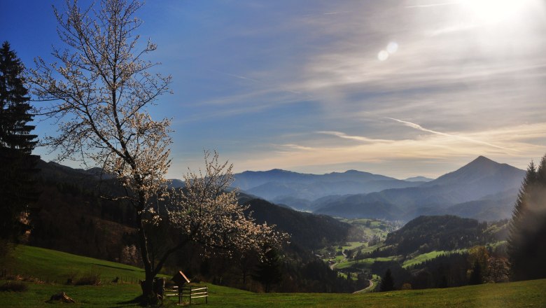 View of Türnitz, © Größbacher Hubert View of Türnitz, © Größbacher Hubert