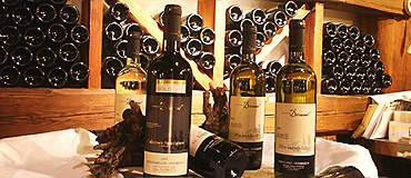 Wine bottles, © Weingut Drimmel Urbanuskeller Wine bottles, © Weingut Drimmel Urbanuskeller