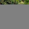 MP_Selected_Moserhof_10_ohne_Hase, © Niederösterreich Werbung / Maximilian Pawlikowsky MP_Selected_Moserhof_10_ohne_Hase, © Niederösterreich Werbung / Maximilian Pawlikowsky