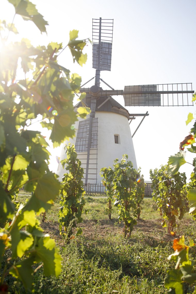 Vychutnejte si nádherný výhled na Retz., © Weinviertel Tourismus/ Bartl Vychutnejte si nádherný výhled na Retz., © Weinviertel Tourismus/ Bartl
