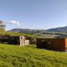 tiny-houses-birner-5, © Sandra Gartlehner tiny-houses-birner-5, © Sandra Gartlehner