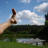 Am Teich..., © Maria Bauer Am Teich..., © Maria Bauer