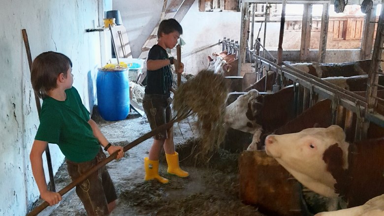 Stable 24 Children Cobbler, © Heidi Stable 24 Children Cobbler, © Heidi