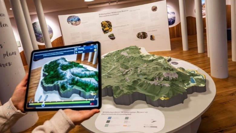 House of the wilderness, © Theo Kust House of the wilderness, © Theo Kust