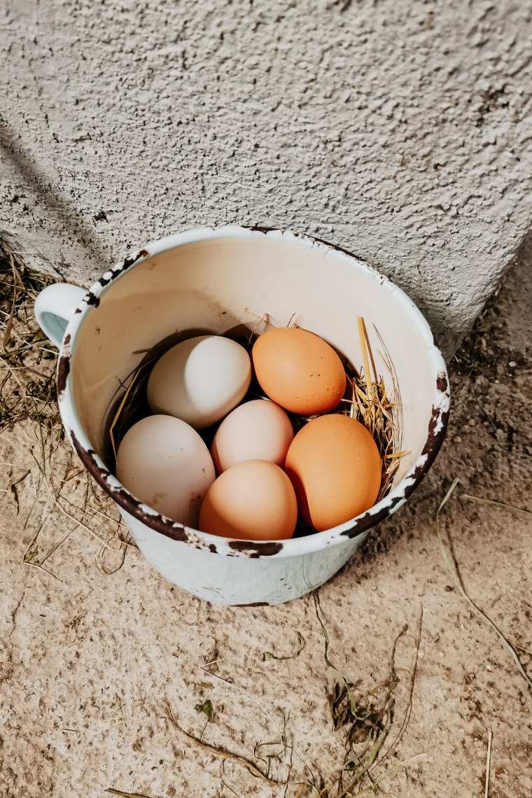 Čerstvá vajíčka na snídani, © Maunzimadame Čerstvá vajíčka na snídani, © Maunzimadame