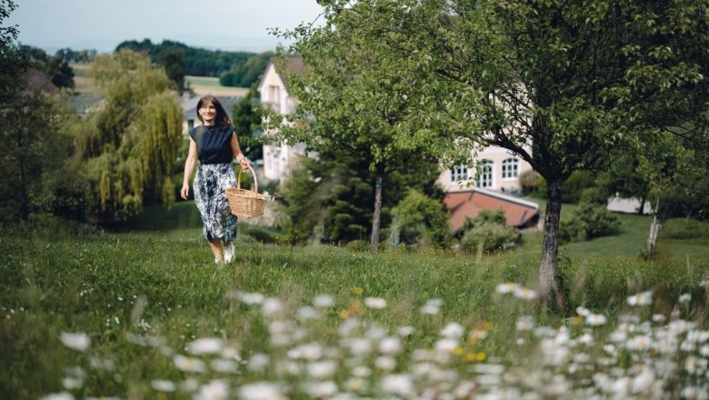 0100_Moststraße_Kothmühle_20250521-12012-001, © Moststraße, dochbodnliacht 0100_Moststraße_Kothmühle_20250521-12012-001, © Moststraße, dochbodnliacht