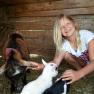 Im Ziegenstall, © Lothspieler Im Ziegenstall, © Lothspieler