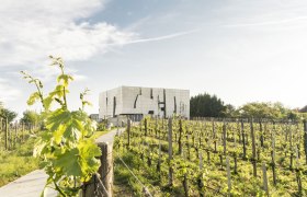 Vinná stezka Kamptal, © Niederösterreich-Werbung/ Robert Herbst