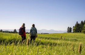 Welterbesteig Wachau - Jauerling, © Robert Herbst Welterbesteig Wachau - Jauerling, © Robert Herbst