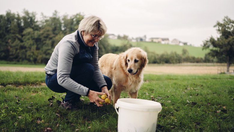 Pihringer's Moststub'n, © Moststraße, dochbodnliacht Pihringer's Moststub'n, © Moststraße, dochbodnliacht