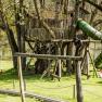 Kobichl children's farm, © Fred Lindmoser Kobichl children's farm, © Fred Lindmoser