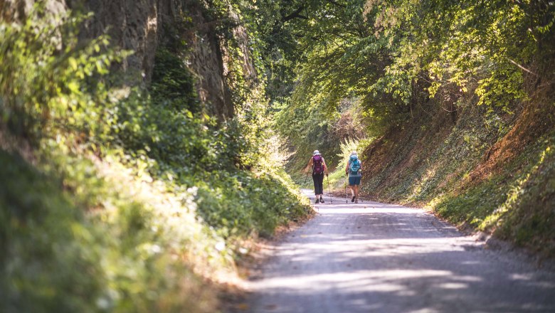 Hiking trail in Furth near Göttweig, © Daniela Matejschek Hiking trail in Furth near Göttweig, © Daniela Matejschek