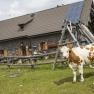 Ybbstalerhütte, © Theo Kust Ybbstalerhütte, © Theo Kust