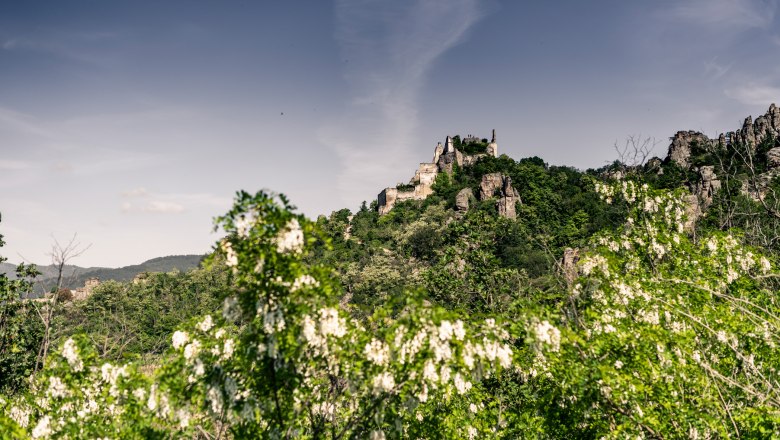 Dürnstein in spring, © Robert Herbst Dürnstein in spring, © Robert Herbst
