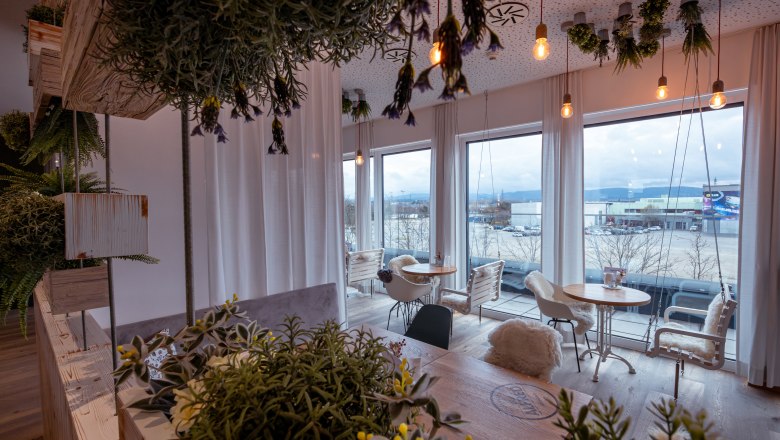 Alfred, © Niederösterreich Werbung / Maximilian Pawlikowsky Interiér kavárny s rostlinami a velkými okny.