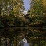 Baumhaus Lodge Schrems, © Baumhaus Lodge Schrems Baumhaus Lodge Schrems, © Baumhaus Lodge Schrems