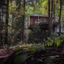 Treehouse Lodge Schrems, © Niederösterreich Werbung / Maximilian Pawlikowsky Moderní dům na stromě v hustém lese, obklopený vysokými stromy a zeleným listím.