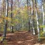 Wanderwege im Wienerwald, © Elfriede Kazda Wanderwege im Wienerwald, © Elfriede Kazda