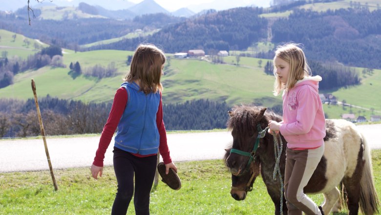 Children with pony, © Panstingl Children with pony, © Panstingl