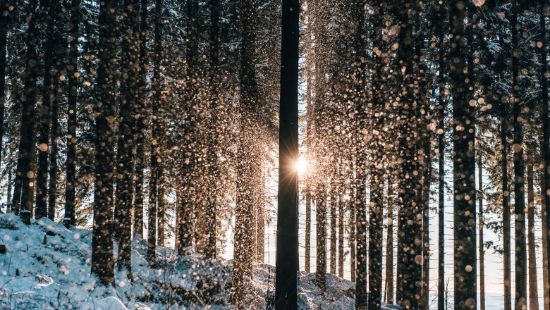 Wandern im Winter im Waldviertel, © Waldviertel Tourismus, sommertage.com Wandern im Winter im Waldviertel, © Waldviertel Tourismus, sommertage.com