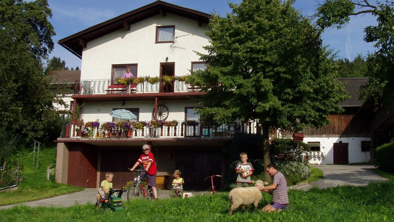 Vacation on the farm Waira, © Fam. Schauer-Zeitlhofer Vacation on the farm Waira, © Fam. Schauer-Zeitlhofer