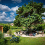 Garden at the Hotel Weinquadrat, © ivan-lukacic-photography Garden at the Hotel Weinquadrat, © ivan-lukacic-photography