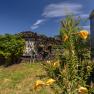 SONNENTOR country lofts, © Niederösterreich Werbung / Maximilian Pawlikowsky Malé stavení z klád s oknem, obklopené rostlinami a žlutými květy, pod modrou oblohou.