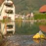 Bathing pond, © Residenz Wachau Bathing pond, © Residenz Wachau