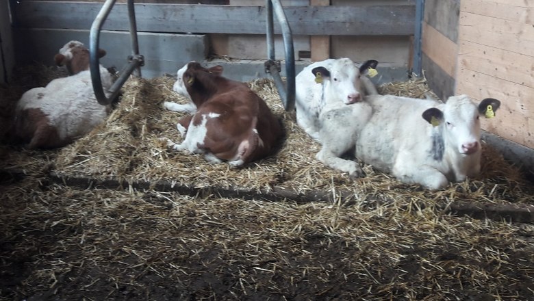 20210418_105406, © Heidi 20210418_105406, © Heidi